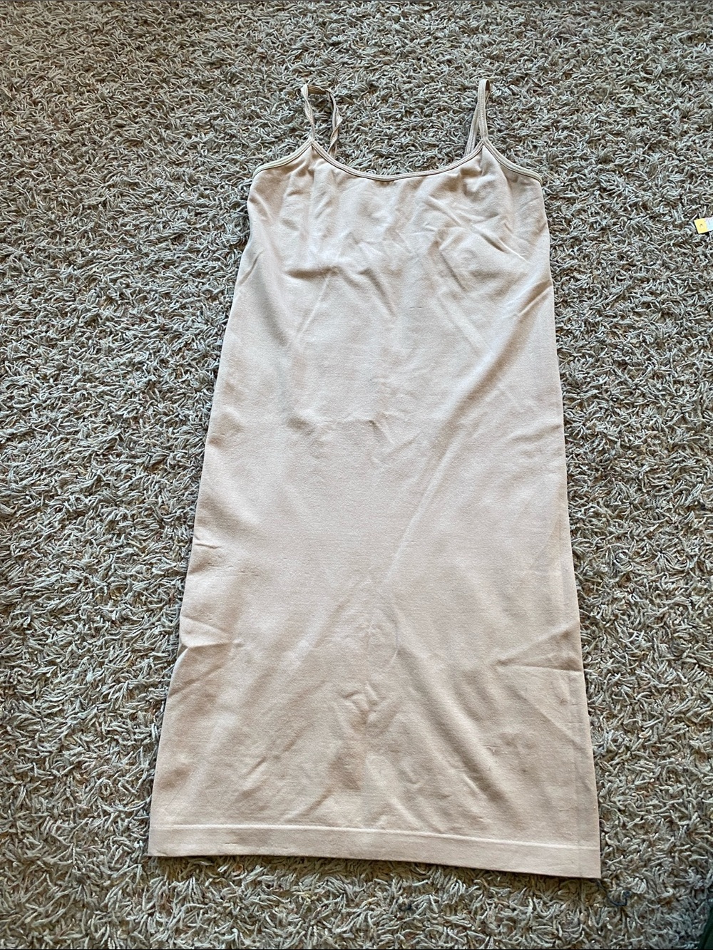 BCBGMaxAzria Light Beige Midi Slip Dress XS